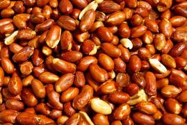 
      
      Early introduction of peanuts in babies to reduce allergy...
      
      