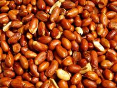 
      
      Peanut treatment lowers risk of severe allergic reactions in...
      
      