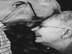 
      
      Study sheds light on how to age slowly
      
      