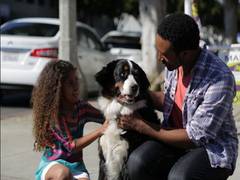 
    Travelling with canines? Here are some pet-friendly hotels, activities in Santa Monica
    