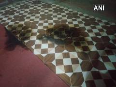 
      
      Unidentified person throws petrol bomb at BJP office in Tamil Nadu
      
      