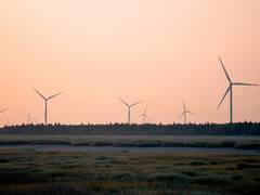 
      
      Study analyses environmental impact of nuclear power generation
      
      