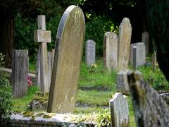 
    In fiction sad and meaningful deaths are more likely to be remembered, study reveals
    