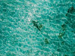 
      
      Ministry of Earth Sciences finalizing National Policy on Blue Economy
      
      
