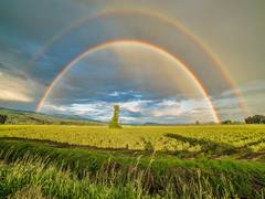 
      
      Hawaii best place on Earth to experience the wonder of...
      
      
