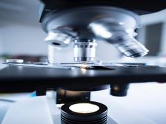 
      
      Novel discovery provides hope for early detection of serious...
      
      