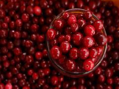 
      
      Cranberries can improve cardiovascular function in men: Study
      
      