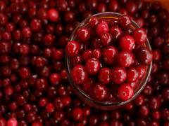 
      
      Cranberries could improve memory and beat back dementia: Study
      
      