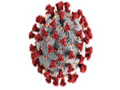 
      
      SARS-CoV2 variants emerge rapidly as virus can momentarily...
      
      