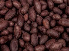 
      
      Cocoa flavanol supplement shows promise for reducing...
      
      