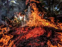 
      
      Wildfire in southern Spain forces evacuation of 3,000
      
      