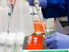 
      
      A cheaper, faster COVID-19 test
      
      