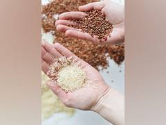 
      
      Latest estimate shows India's record foodgrain production
      
      