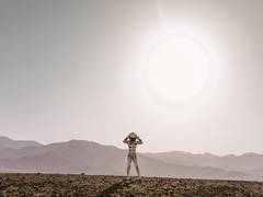 
      
      Scientists show that solar energy outperforms nuclear on powering
      
      