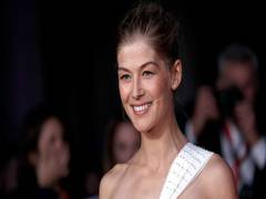 
      
      'Gone Girl' star Rosamund Pike to lead virus thriller 'Rich Flu'
      
      
