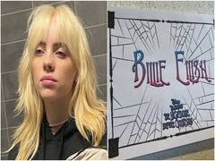 
      
      Billie Eilish debuts as Sally in live performance of 'The...
      
      