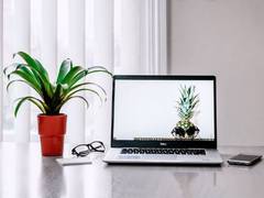 
      
      Keep small plants at your work desk to reduce stress, study...
      
      