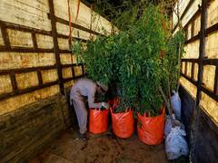 
      
      Billion-tree afforestation project workers not paid since May 2019
      
      