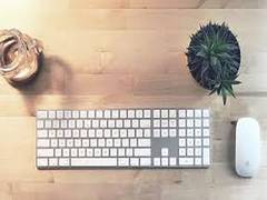 
    Desktop plants can help you cope with workplace stress!
    