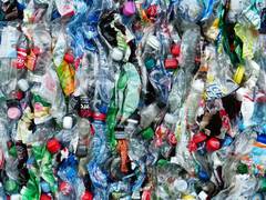 
      
      Study finds more microbes can degrade plastics at heavy...
      
      