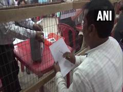 
      
      Tripura civic election results: BJP wins 29 out of 51 wards...
      
      