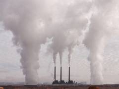 
      
      Light pollution linked to preterm births, reduced birth...
      
      