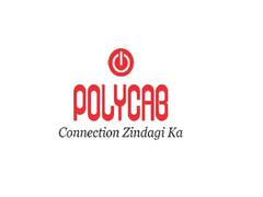 
      
      Polycab India Ltd. appoints Vivek Sharma as Deputy Managing...
      
      