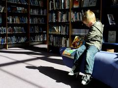 
      
      Study links vitamin D levels during pregnancy with child IQ
      
      