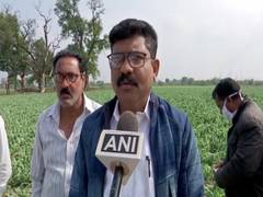 
      
      Nagpur: Hailstorm, unseasonal rain damage standing crops
      
      