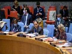 
      
      India recalls sacrifice by Indian peacekeeper at UNSC
      
      