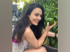 
      
      Preity Zinta flaunts capsicums from her 'ghar ki kheti'
      
      