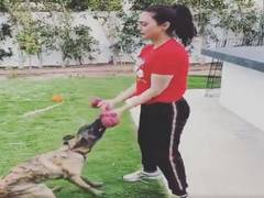 
      
      Staying indoors doesn't breaks Preity Zinta's spirit to workout!
      
      