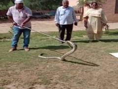 
      
      Haryana: 8-foot long python rescued by forest department from...
      
      