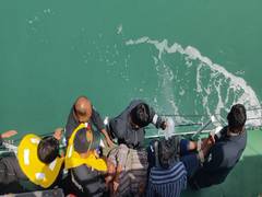 
      
      Indian Coast Guard responds to medical emergency onboard
      
      