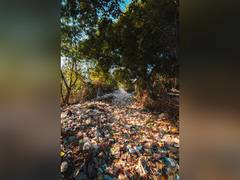 
      
      Plastic waste trash can be turned into carbon dioxide sorbent
      
      