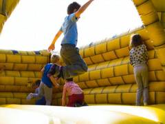 
    Better mental health found among adventurously playing children
    