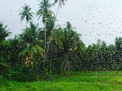 
      
      IMD predicts heavy rainfall in Goa, issues warning for fishermen
      
      