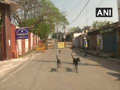 
      
      Police barricades Hindipiri area in Ranchi amid rising...
      
      