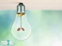 
      
      Research and Ranking's Unique Strategy Helps You Capitalize...
      
      