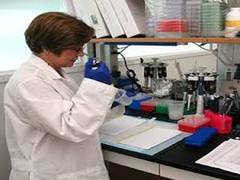 
      
      Researchers reverse aging mechanism in rat brain cells
      
      