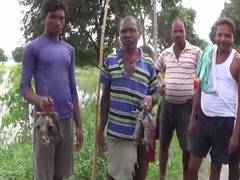 
      
      Have to eat rats to survive, claim locals in flood-affected...
      
      