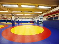 
      
      Six women wrestlers earn spot in Senior World Championship 2019
      
      