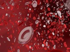 
      
      Healthy men, women have different blood flow characteristics...
      
      