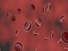 
      
      Study reveals single gene 'invented' haemoglobin several times
      
      