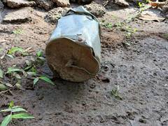 
      
      Security forces recover huge cache of explosives in Mizoram's...
      
      