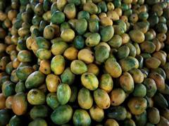 
      
      India shipped 2.5 MTs of GI certified mangoes to South Korea
      
      