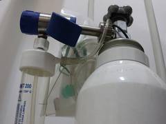 
      
      Last-resort life support option helped majority of critically...
      
      