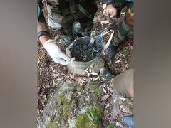 
      
      J-K: Security forces recover, destroy over 200 detonators in...
      
      
