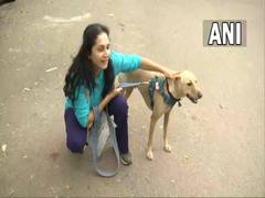 
      
      Pet dogs to be banned in Bengaluru's Cubbon Park
      
      