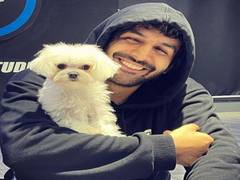 
      
      Kartik Aaryan shares adorable photos with his furry buddy
      
      